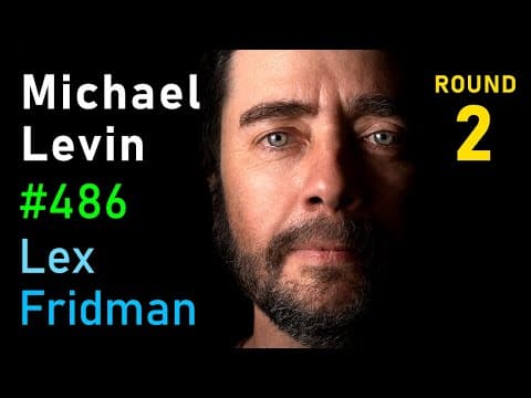 Radical Ideas on Platonic Space and Alien Intelligence Revealed