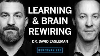 The Brain's Complex Mechanisms of Time Perception