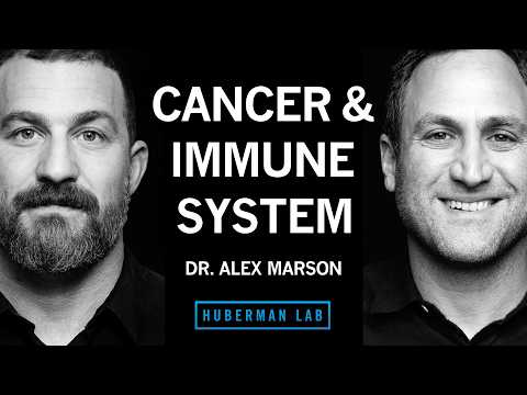 CAR T-cell therapy could revolutionize lupus treatment and cancer care